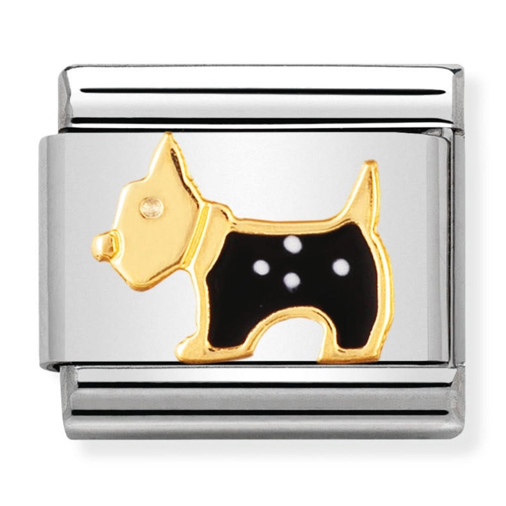 Classic Gold Terrier Dog