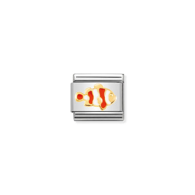 Classic Gold Clownfish