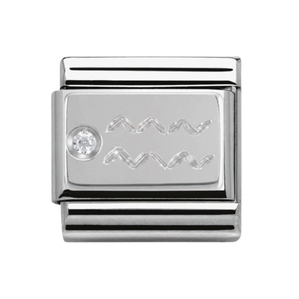 Silvershine Aquarius Charm