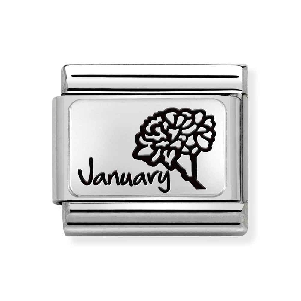 Silvershine January Flower Charm