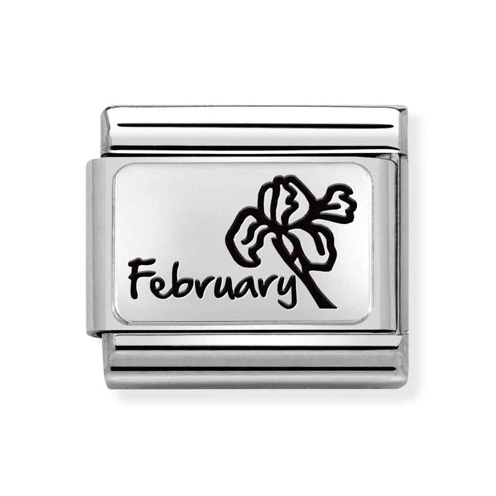 Silvershine February Flower Charm