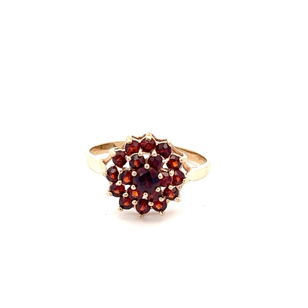 9ct Gold Garnet Ring N.V. £300