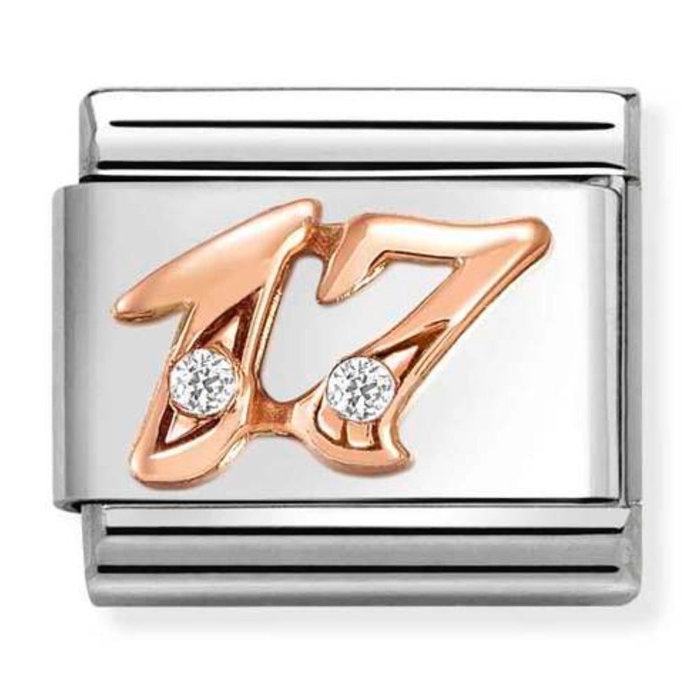 Rose Gold CZ 17 Charm
