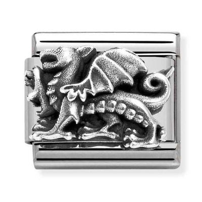 Silvershine Dragon Charm