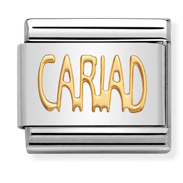 Classic Gold Cariad Charm