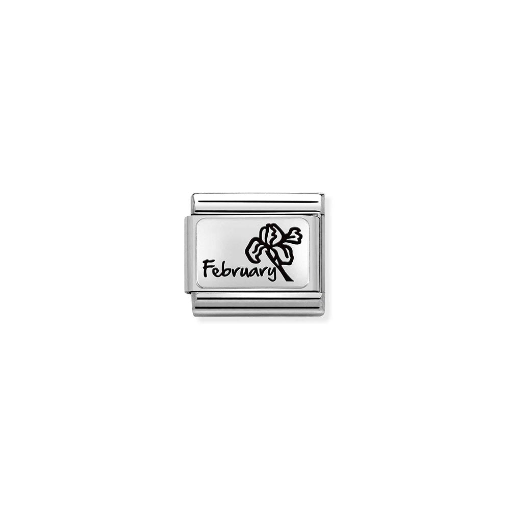 Silvershine February Flower Charm