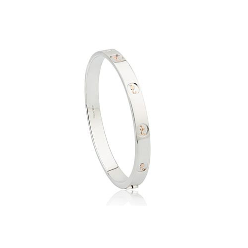 Silver & 9ct Gold Clogau Tree Of Life Insignia Bangle